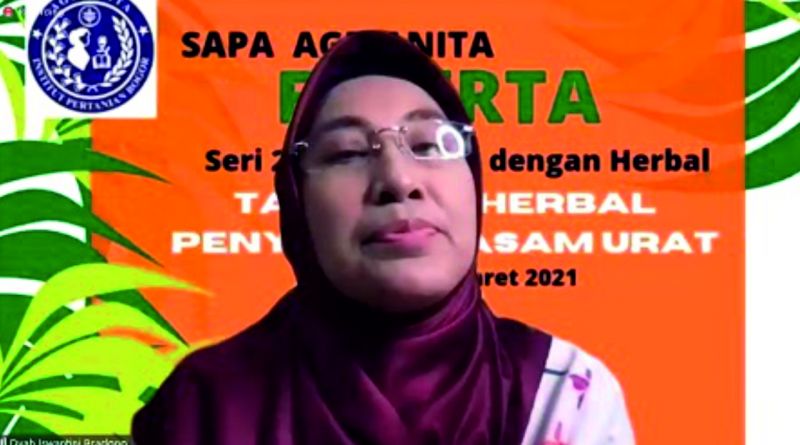 Prof Dyah Iswantini Bicara Keampuhan Sidaguri untuk Redakan Asam Urat di Sapa Agrianita